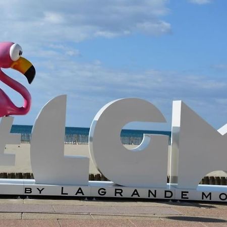 Superbe Studio Au Calme A 8Mn De La Plage La Grande Motte Exteriör bild