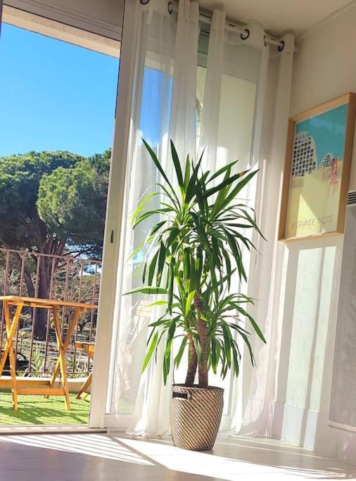 Superbe Studio Au Calme A 8Mn De La Plage La Grande Motte Exteriör bild